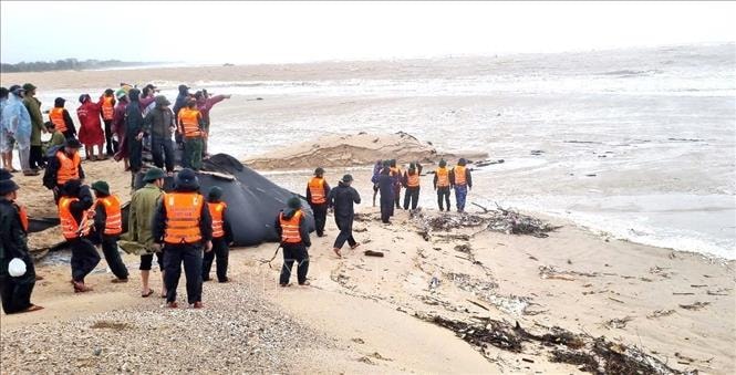 Vụ hai tàu cá bị nạn khi vào bờ trú bão: Tìm kiếm 3 thuyền viên mất tích