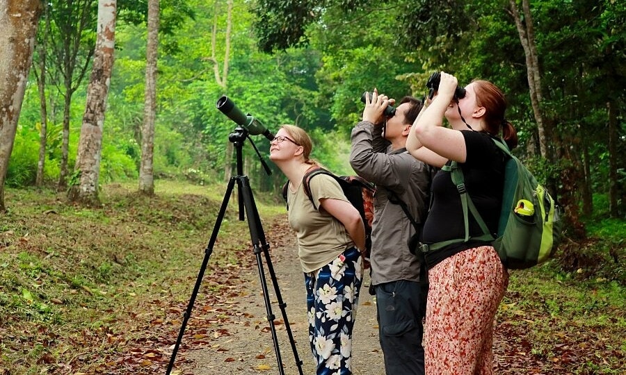 Các điểm ngắm và săn ảnh chim quý hiếm khắp Việt Nam