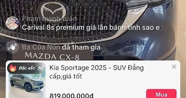 Đại lý ô tô "lách" chính sách của sàn để mở giỏ hàng bán xe tiền tỉ trên TikTok Shop?