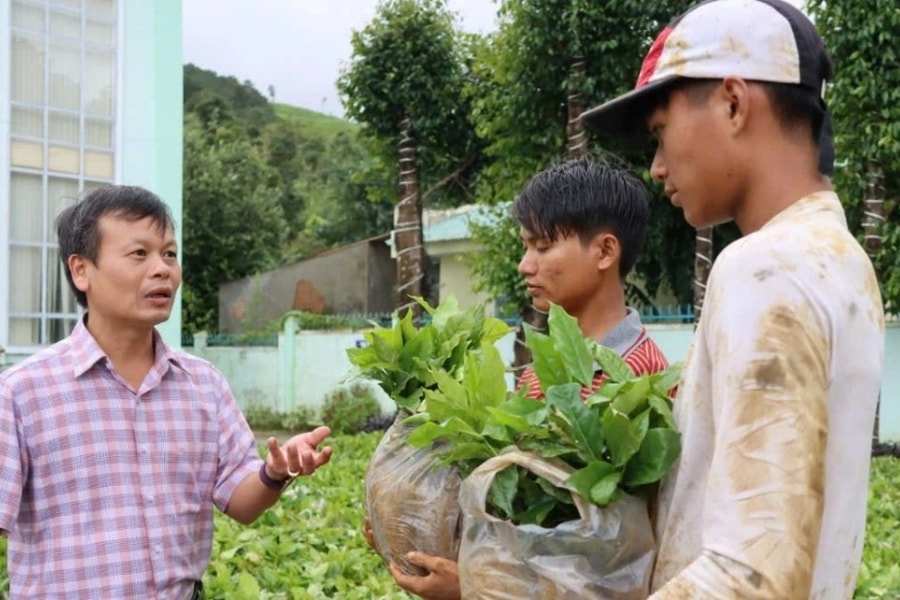 Kỷ lục gia thế giới hướng dẫn đồng bào Xơ Đăng trồng cà phê đặc sản