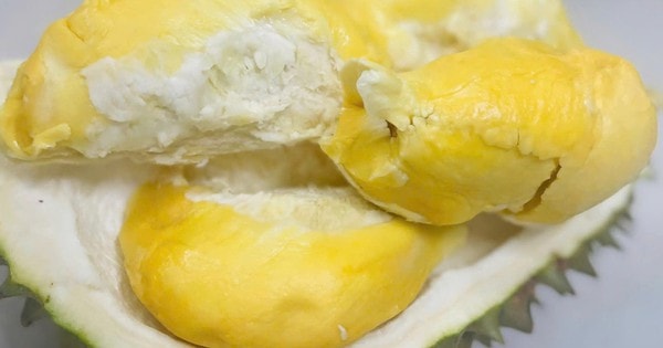 Lão nông miền Tây trồng được giống sầu riêng lạ, bán 700.000 đồng/kg