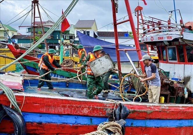 Nghệ An: Tàu thuyền được phép ra khơi từ 16 giờ ngày 30/9