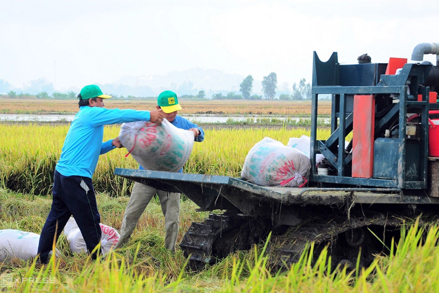 Trồng trọt sẽ giảm ít nhất 15% phát thải khí nhà kính đến 2035