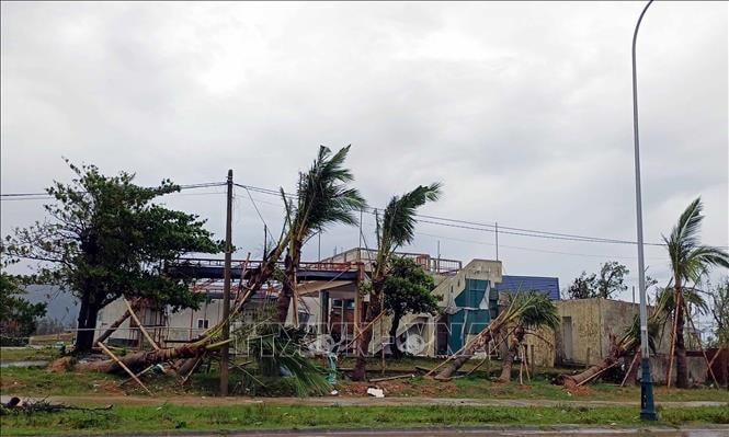 Khẩn trương chi trả bồi thường cho người tham gia bảo hiểm sau bão số 10