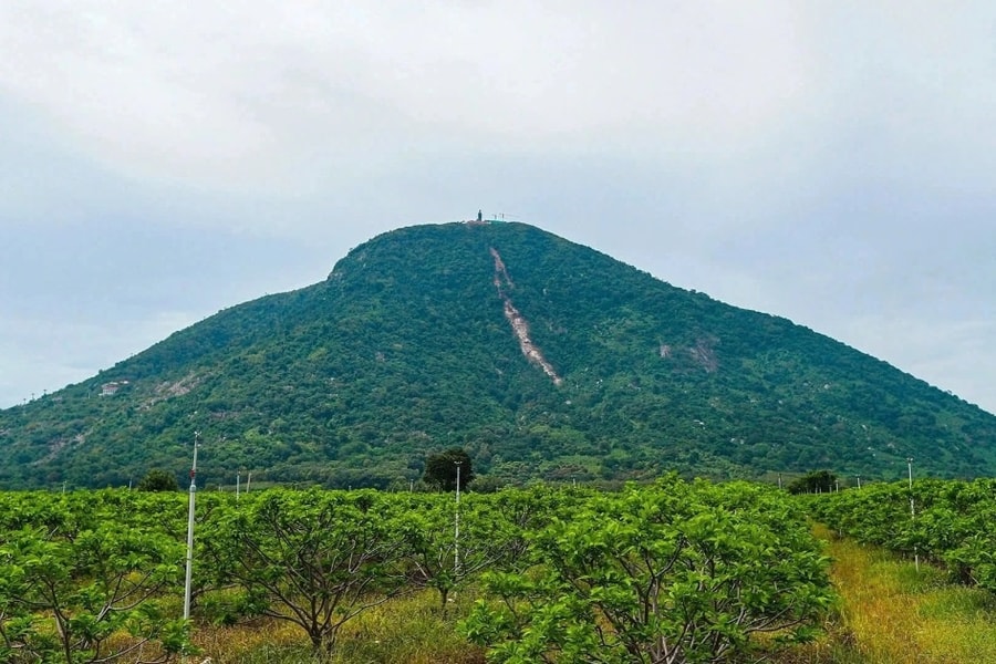Tây Ninh cấm du khách dã ngoại, leo núi Bà Đen để đảm bảo an toàn