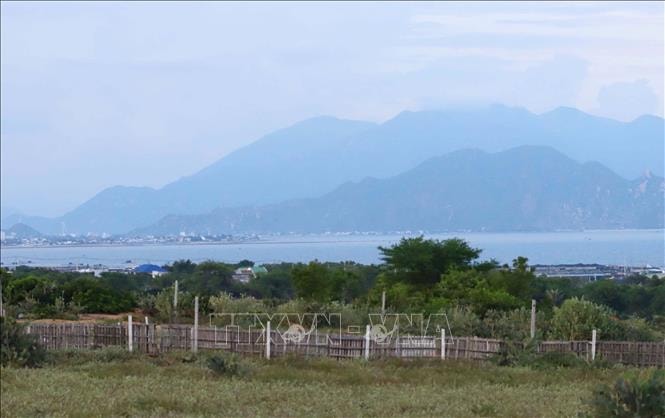 Dự án điện hạt nhân Ninh Thuận - Bài cuối