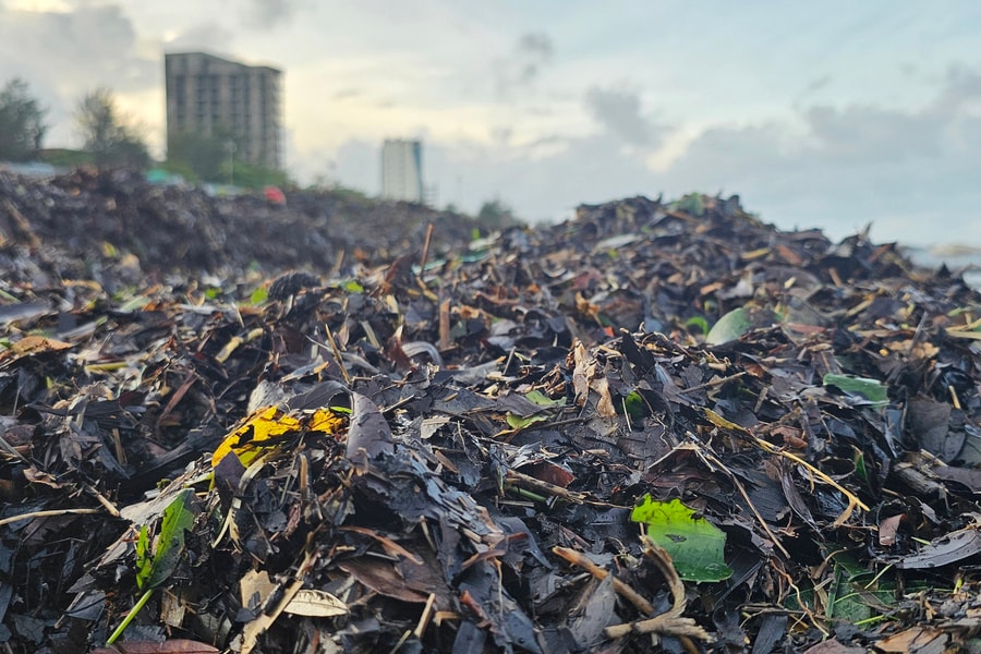 Bãi biển Nhật Lệ ken đặc rác sau bão