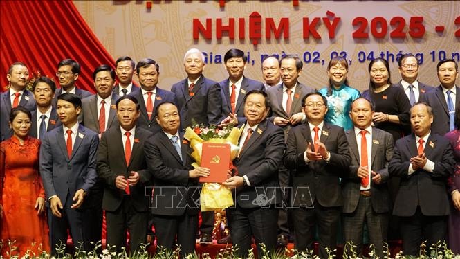 Phó Tổng Tham mưu trưởng Thái Đại Ngọc giữ chức Bí thư Tỉnh ủy Gia Lai