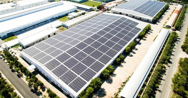 Bamboo Capital và Tracodi xin lỗi cổ đông khi cổ phiếu bị đình chỉ