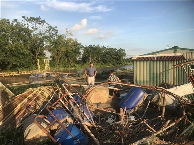 Nước lũ dâng cao, người nuôi cá lồng ở Hải Phòng đối mặt nguy cơ mất trắng