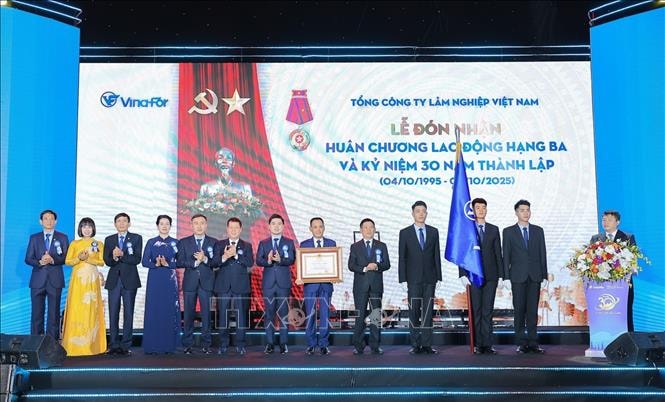 Phát triển VINAFOR trở thành tập đoàn lâm nghiệp quy mô lớn