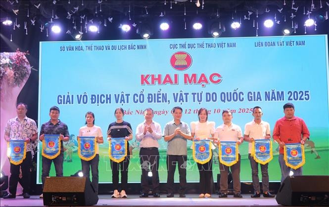 Hơn 300 vận động viên tranh tài ở Giải Vô địch Vật cổ điển, Vật tự do quốc gia năm 2025