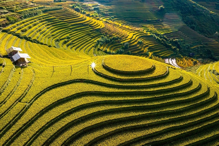 Mù Cang Chải vắng vẻ, khách 'bao cả ruộng' chụp ảnh