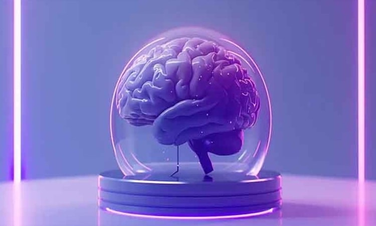 Phòng thí nghiệm nuôi não mini để vận hành máy tính