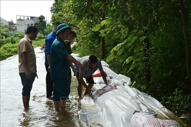 Bắc Ninh: Tuần tra, canh gác bảo vệ đê điều theo cấp báo động