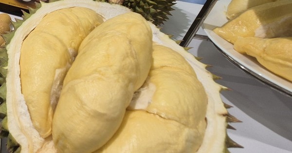 Giá sầu riêng hôm nay 6-10: Tăng mạnh trên diện rộng, cung không đủ cầu