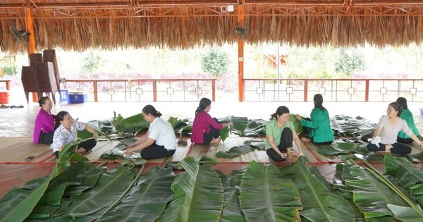 Cần Thơ: Nấu chiếc bánh chưng nặng gần 1,6 tấn làm lễ Giỗ tổ Hùng Vương