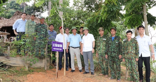 Đà Nẵng phấn đấu làm xong Quốc lộ 14D hơn 4.500 tỉ trong năm 2027