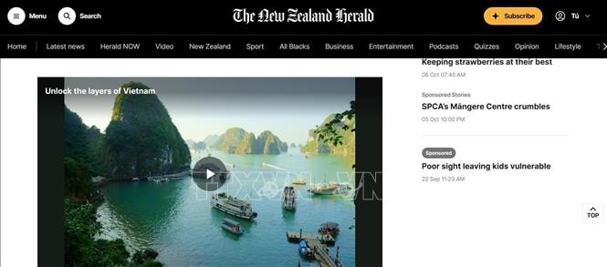 Vẻ đẹp của Việt Nam mang đến những trải nghiệm ấn tượng cho du khách quốc tế