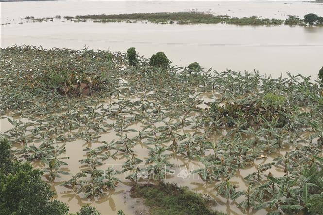 Bắc Bộ và Bắc Trung Bộ huy động gần 280 trạm bơm tiêu úng