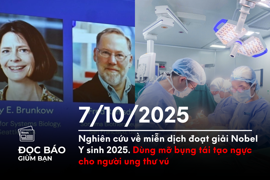Nghiên cứu về miễn dịch đoạt giải Nobel Y sinh 2025. Dùng mỡ bụng tái tạo ngực cho người ung thư vú