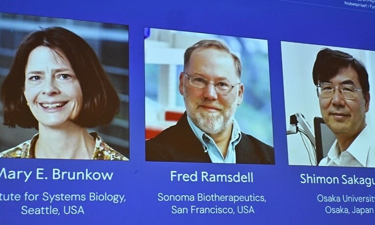 Khám phá tế bào T - 'vệ sĩ an ninh' của hệ miễn dịch