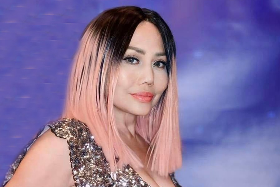 Lynda Trang Đài 'không chống lại cáo buộc trộm cắp'