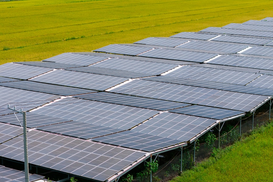 Trang trại lắp điện mặt trời có thể thu lợi nhuận một tỷ đồng mỗi ha