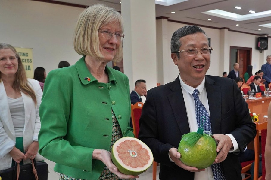 Trái bưởi Việt Nam chính thức được 'cấp visa' sang thị trường Australia