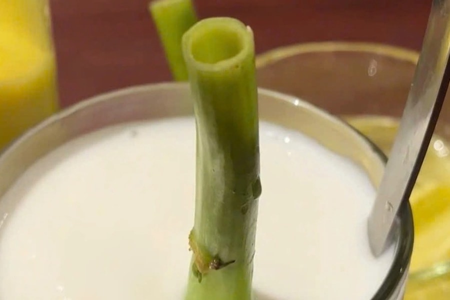 Khách Trung Quốc sửng sốt dùng cọng rau muống thay ống hút ở nhà hàng TPHCM