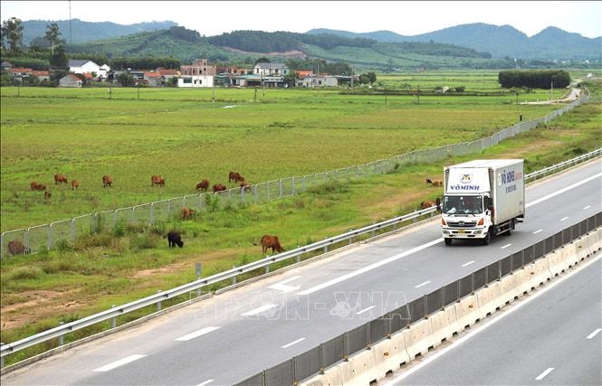Xử lý việc người dân tháo dỡ rào ngăn cách cao tốc Diễn Châu - Bãi Vọt, biến thành khu chăn thả gia súc