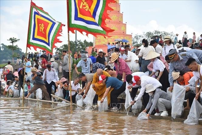 Hải Phòng thả 5 vạn cá giống tái tạo nguồn lợi thủy sản trên sông Lục Đầu