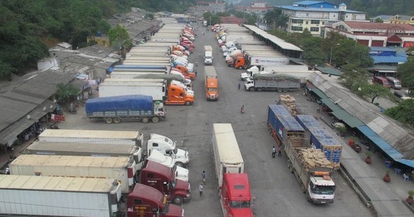 Doanh nghiệp vận tải lo ùn tắc hàng hóa do thiếu lái xe hạng FC