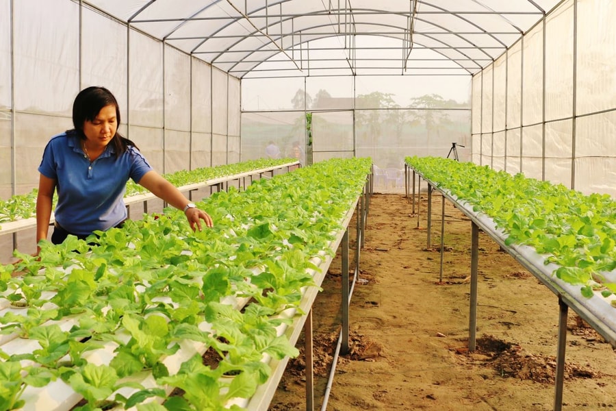 Dấu ấn nhiệm kỳ, khát vọng tầm cao mới - Bài 4