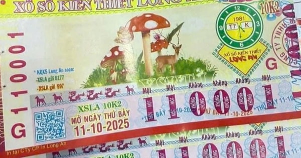 Xổ số miền Nam: Dãy số “quái” vé số Long An trúng giải đặc biệt tại phường Ngã Bảy