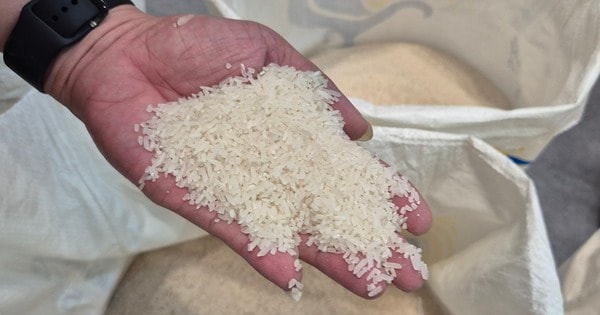 Quốc gia nhập khẩu gạo số 1 thế giới lại có động thái mới