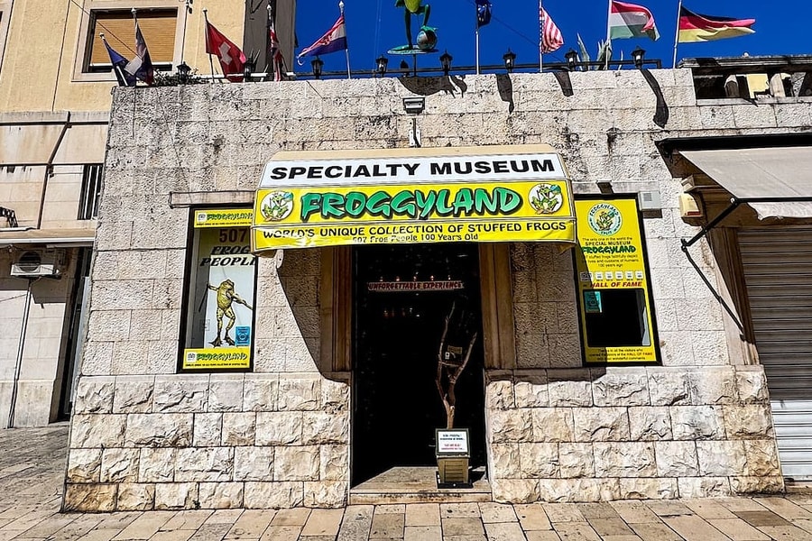 Bên trong bảo tàng ếch chết 'kỳ lạ nhất' châu Âu