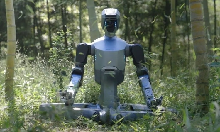 Robot hình người có thể chịu mọi điều kiện thời tiết