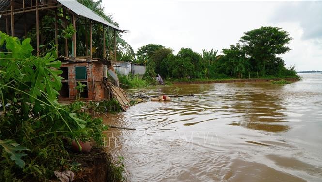 Đồng Tháp: Sạt lở bờ sông Tiền làm mất khoảng 600 m² đất