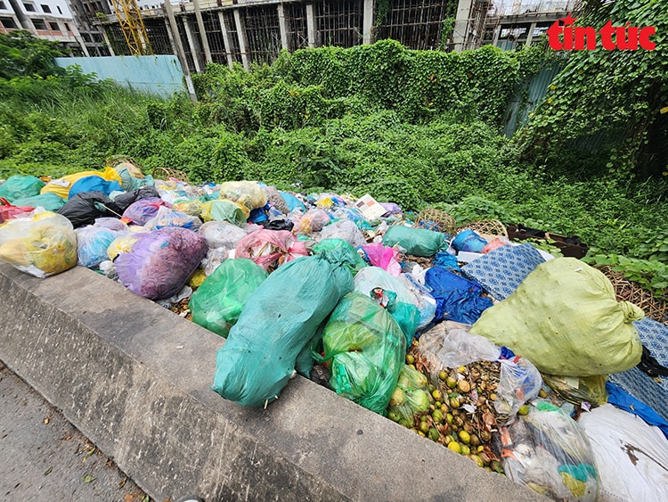 Nhiều tuyến đường tại TP Hồ Chí Minh thành ‘bãi rác’ do nạn đổ rác trộm