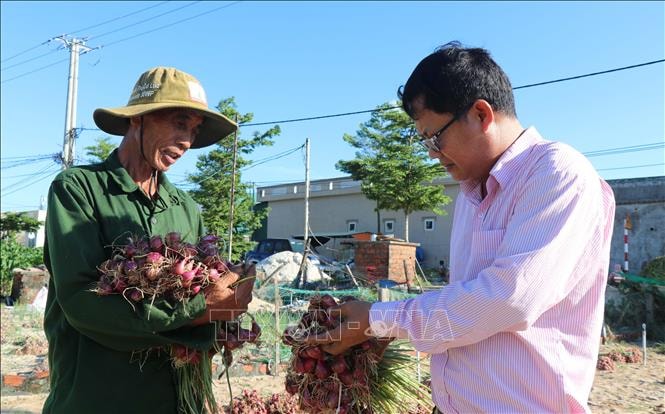 Vốn chính sách giúp người dân đảo tiền tiêu Lý Sơn thoát nghèo