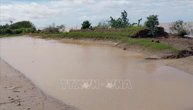 Vĩnh Long công bố tình huống khẩn cấp sạt lở bờ biển tại xã Long Vĩnh