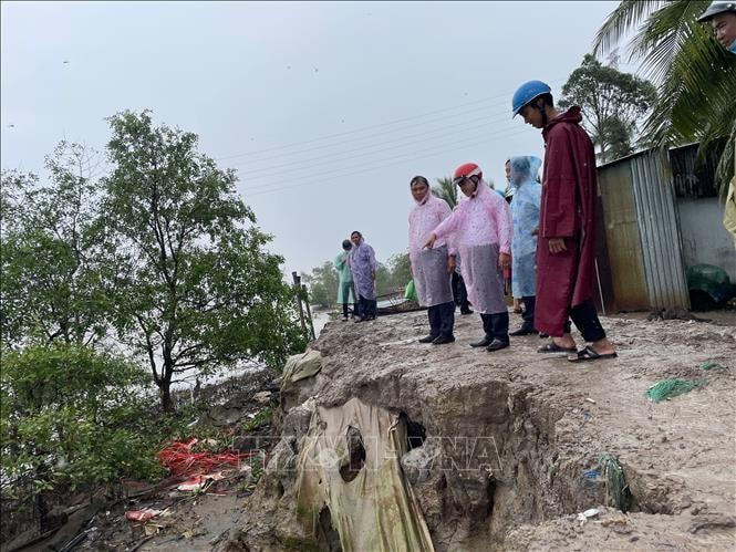 Gia cố các tuyến đê bao xung yếu để ứng phó triều cường