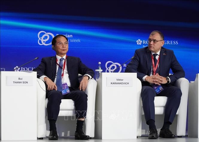 Phó Thủ tướng Bùi Thanh Sơn: Năng lượng là nền tảng của hòa bình và phát triển