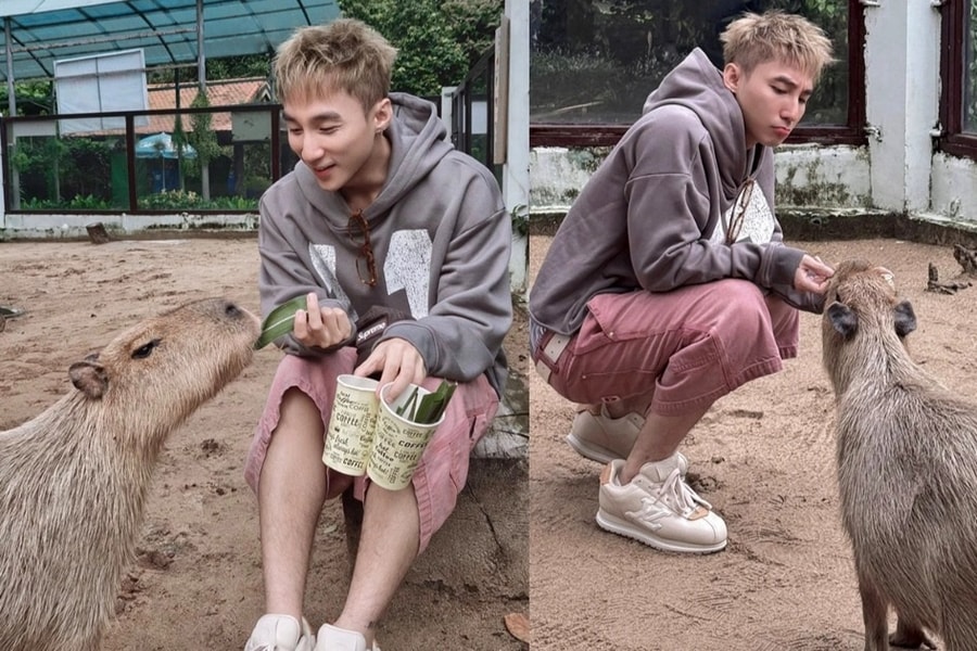 Chân dung "ngôi sao" Thảo Cầm Viên khiến Sơn Tùng M-TP tìm đến chụp ảnh