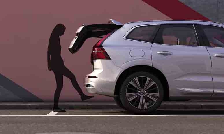 Chó kích hoạt cốp rảnh tay khiến người phụ nữ bị thương