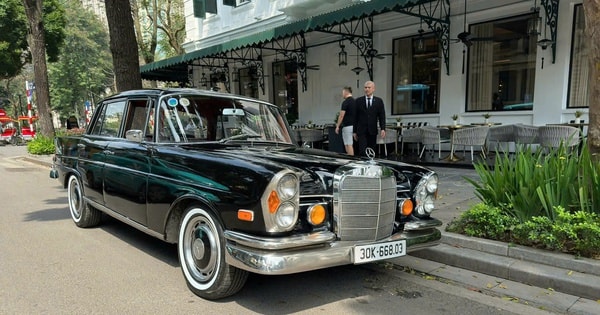Mercedes-Benz mang xe cổ gần 70 năm tuổi trưng bày tại TP HCM