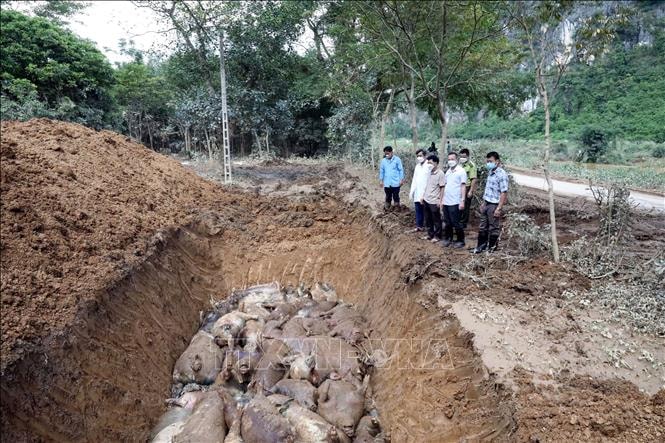 Đảm bảo nguồn nước hợp vệ sinh cho người dân vùng ngập lụt