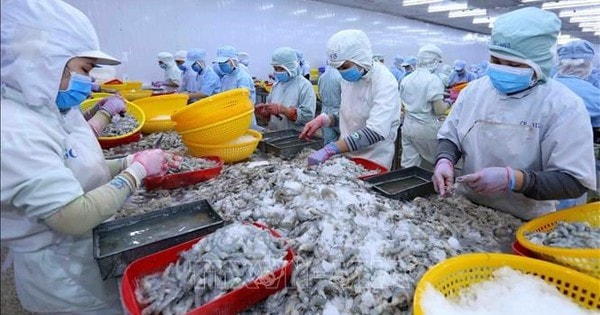 Tổng Giám đốc một công ty thủy sản lớn xin nghỉ việc vì "cảm thấy năng lực không còn đáp ứng được"