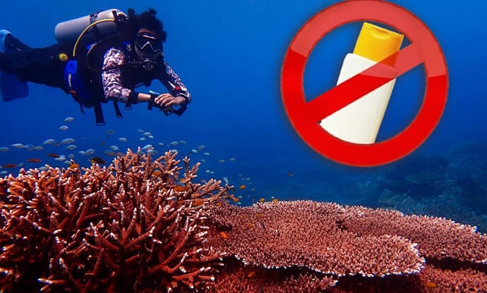 Thái Lan phạt 80 triệu đồng nếu khách dùng kem chống nắng hại san hô